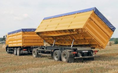 Услуги зерновозов для перевозки зерна - Тамбов, цены, предложения специалистов