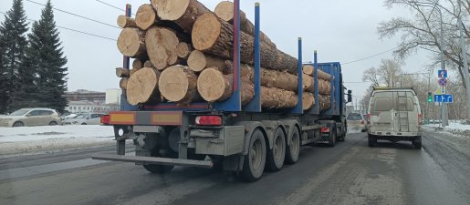 Поиск транспорта для перевозки леса, бревен и кругляка стоимость услуг и где заказать - Тамбов
